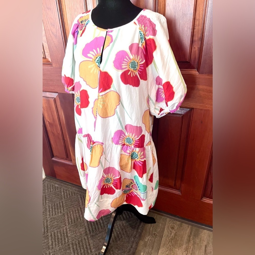 Velvet by Graham & Spencer Rachel Cream Floral Mini Dress Silk Blend Small